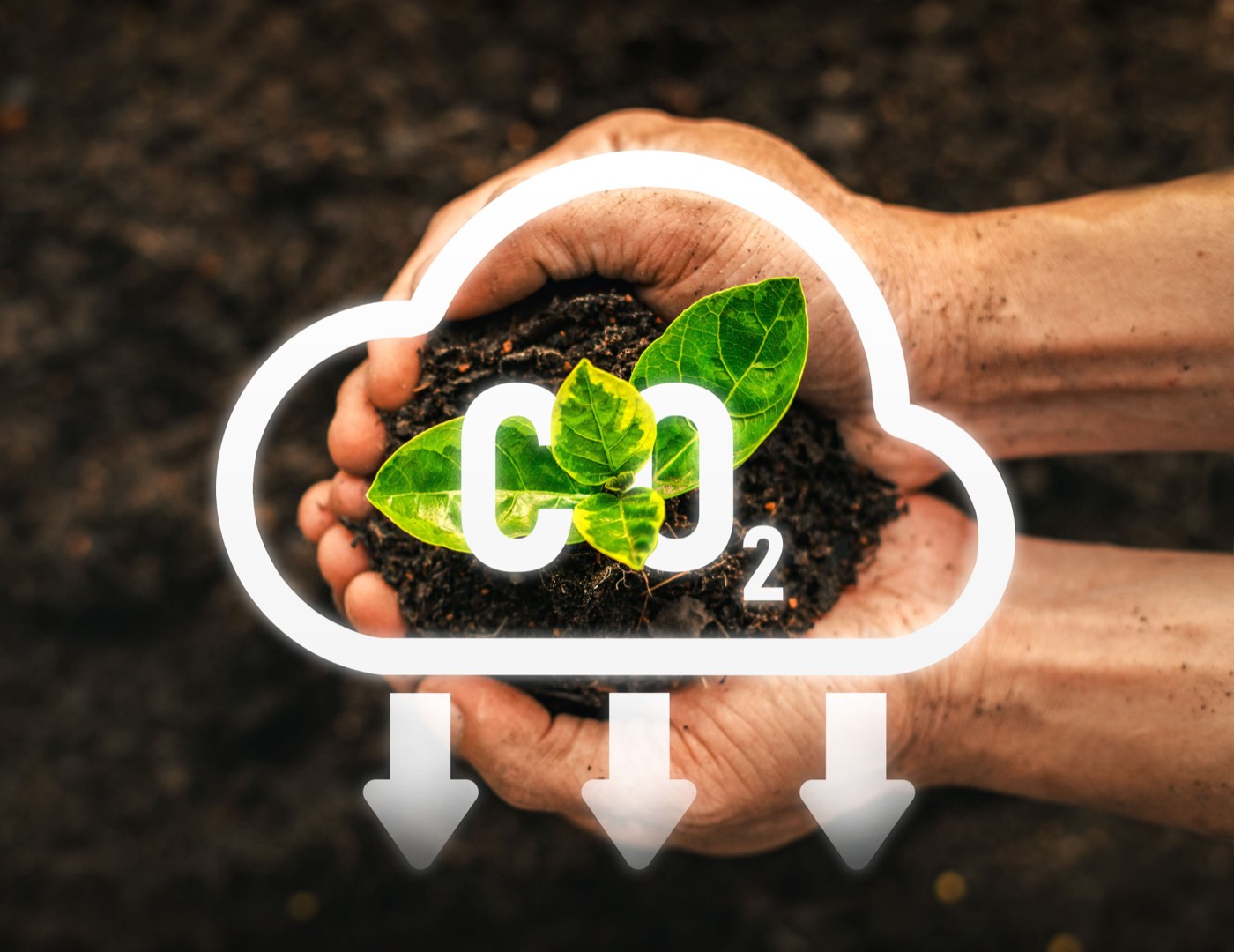 ADM re:generations - Golden Peanut