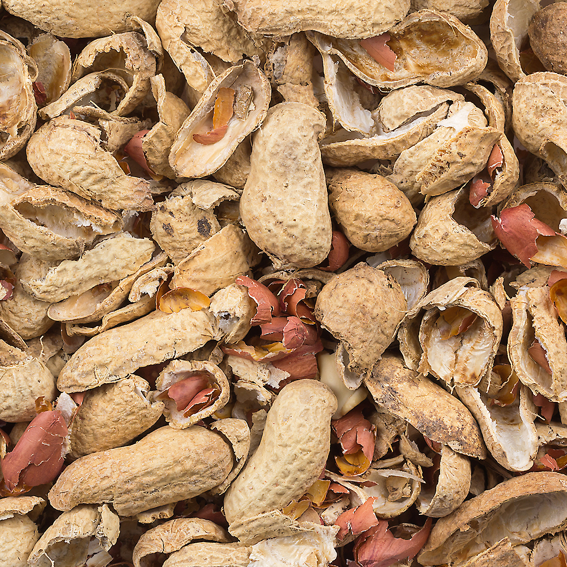 Hull & Fiber - Golden Peanut